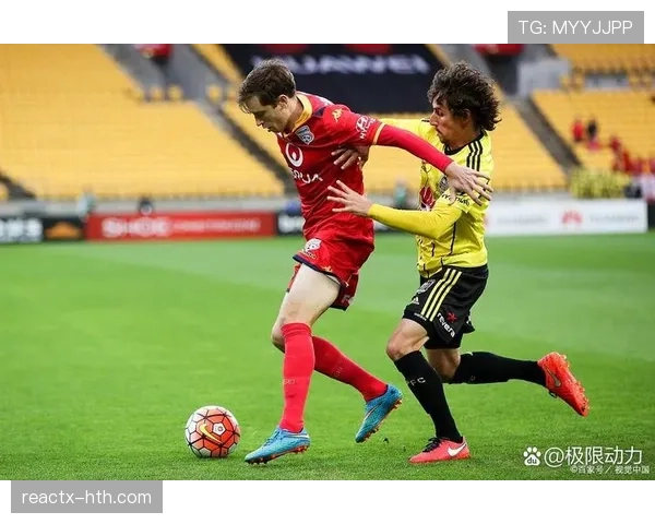 沙勒罗瓦核心球员状态火热,率队豪取连胜