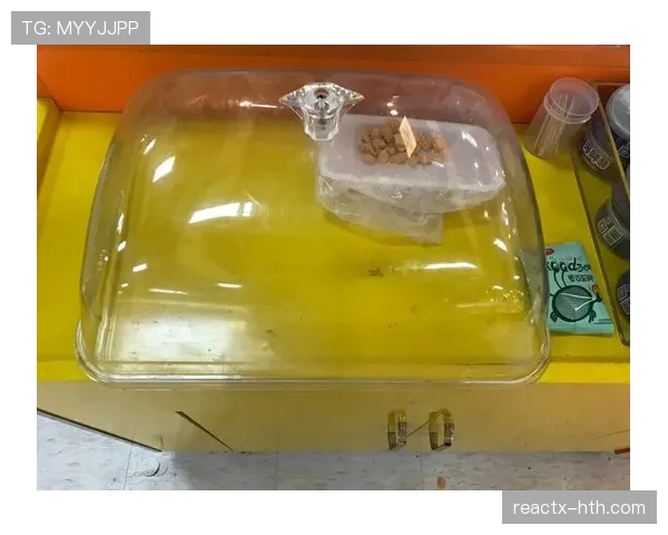 昌雅妮穿拖鞋去机场，旁边行李箱的价签把我咖啡都差点喷脸上